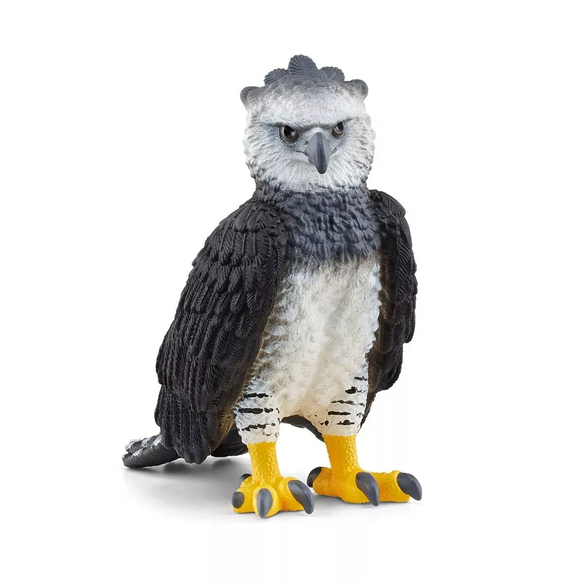 harpy-eagle Harpy Eagle